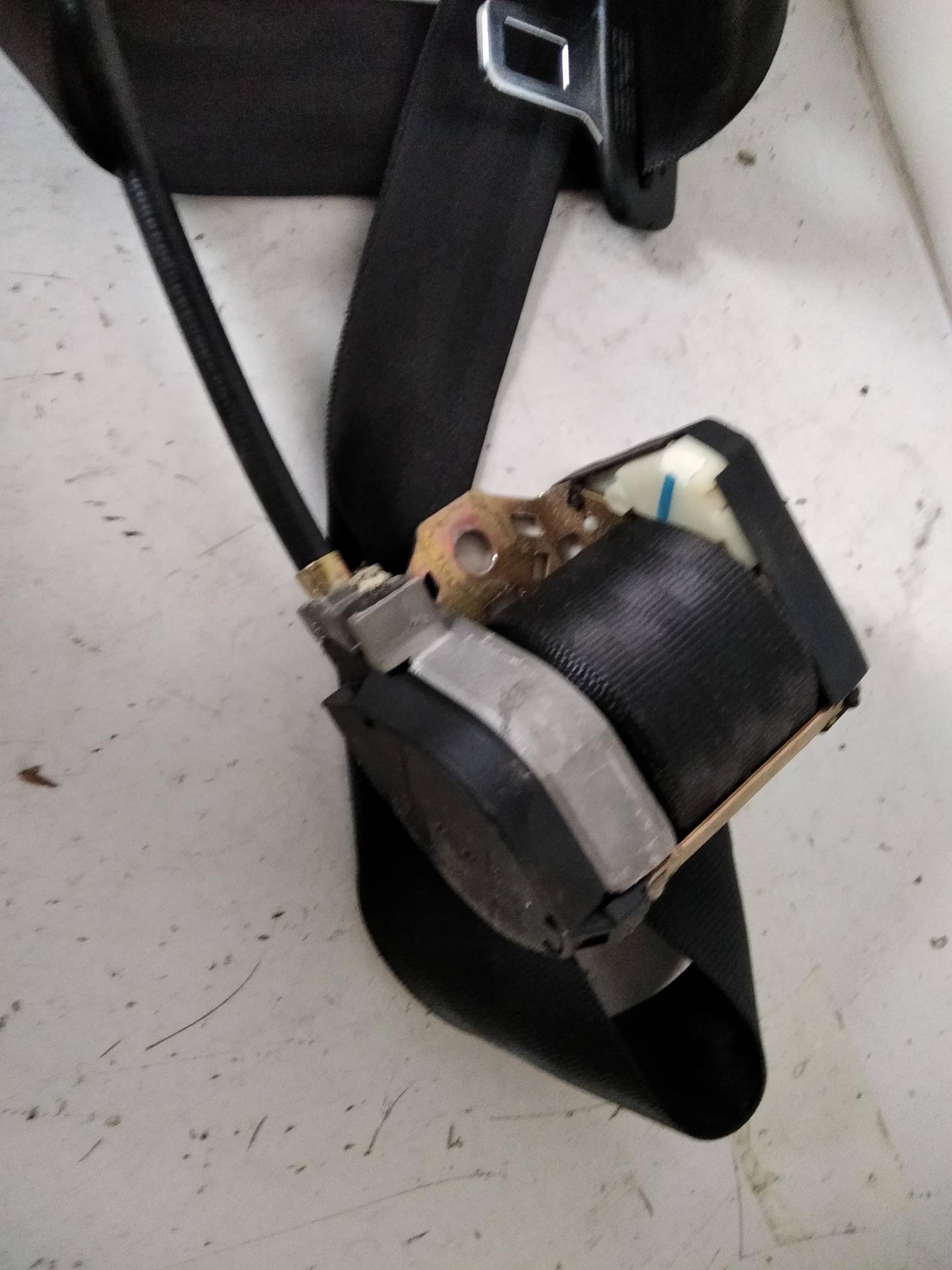 Cintura di sicurezza ant. dx.